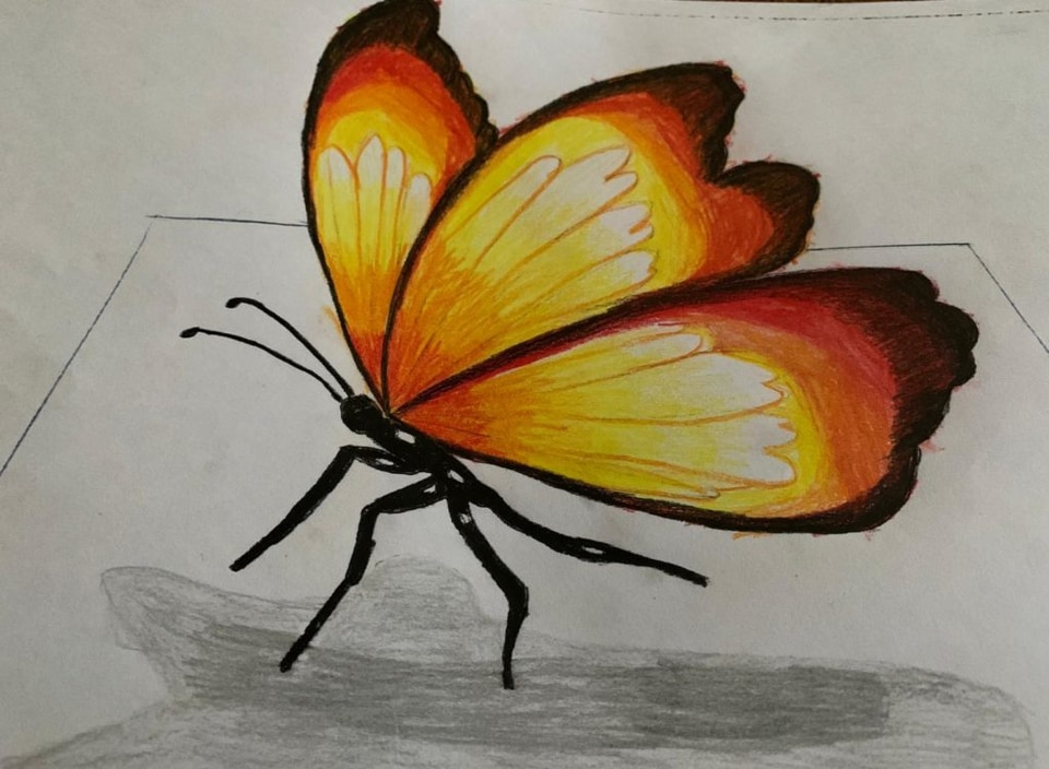 Art photo: butterfly orange 1024x751